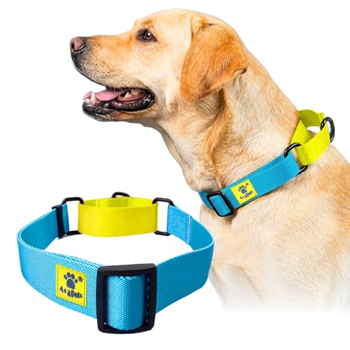 Image of A+a Pets Martingale Dog Collar | No Pull Design,No Neck Strain,No Choke Design | for Large & Medium Dogs | Rust Free,Waterproof Nylon Training Collar (Light Blue & Yellow),20 x 2.5 cm