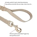 YUDOTE Hundehalsband und Leine Set Groß, Weiche Reizfreie Cord-Halsband-Leine Passende Combo für Den Täglichen Spaziergang, Cremeweiß