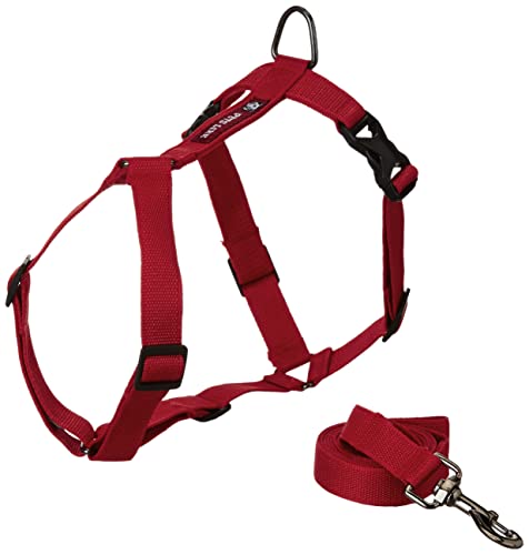 Pets Like Harness with Leash Set GE-COPH010 Red (Medium) (B09D3CMZZR) Amazon Price History, Amazon Price Tracker