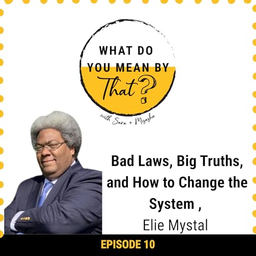 10: Elie Mystal on Bad Laws, Big Truths, and How to Change the System