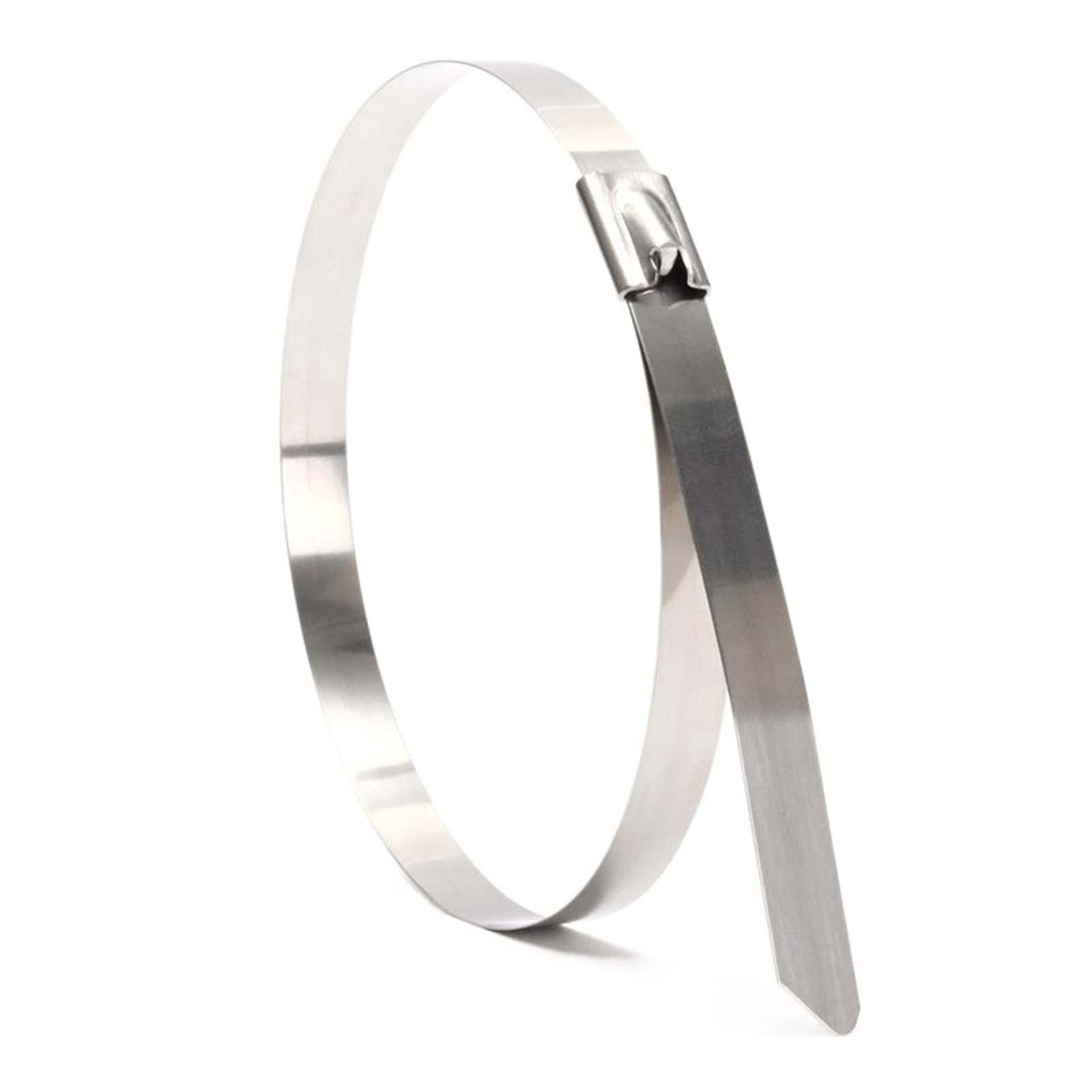 RWRAPS Fascette per Cavi in Acciaio Inossidabile da 20 Pezzi Fascette per Cavi autobloccanti da 4,6 mm Fascette per Cavi in Metallo (Colore: Argento, Dimensioni: 300mm) (Argento 200mm)