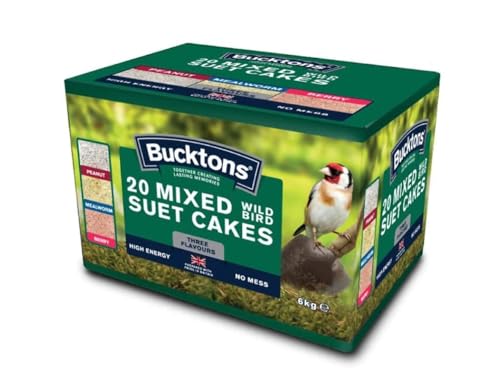 Bucktons Box of 20 Mixed Suet Cake Peanut, Mealworm & Berry