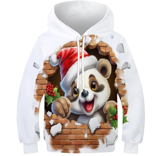 Cute Panda Unisex Teen Boys Girls 3D Printed Hoodies Kids Sportswear Christmas Hat Funny Pullover Athletic Casual Long Sleeve with Pockets for 6-15 Years 12-14Y