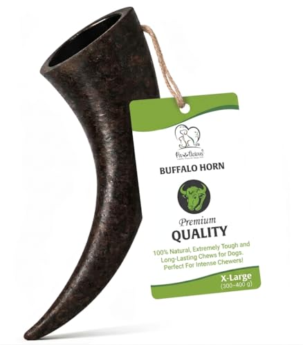 Pawlicious (1 x Extra Large 300g - 400g) Buffalo Horns for Dogs 100% Natural Grain Free Dog Chew Treat for Adult Dogs High Protein Long Lasting Horn Chewing Pet Treats