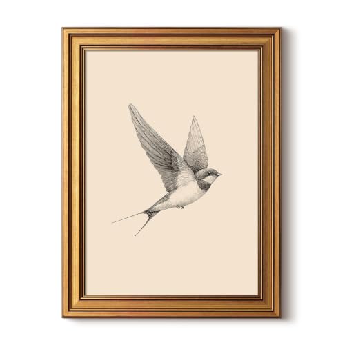 Image of Gold Framed Vintage Wall Art, Sketch Wall Decor- Sand Martin -12 x 16 IN