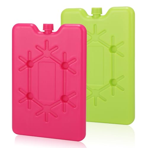 DIELOVEHUA 4 Stück 200ml Kühlakkus für Kühltasche, Kühlakkus für Lunch, Wiederverwendbare Kühlakku, Kühlakkus für Kühlbox, für Outdoor, um Lebensmittel Frisch zu Halten