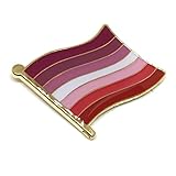 Gay & Lesbian Pride Rainbow LGBT LGBTQ Flag Lapel Pins (Lesbian Pride Flag)