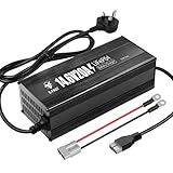 12V 20A LiFePO4 Battery Charger 14.6V Lithium Battery Charger AC-DC Smart Charger with Anderson Connector for LiFePO4 Deep Cycle Batteries of RV, Homes, Boat