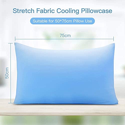 Elegear Ari-Chill 2 Pezzi Federe in Fibra di Seta