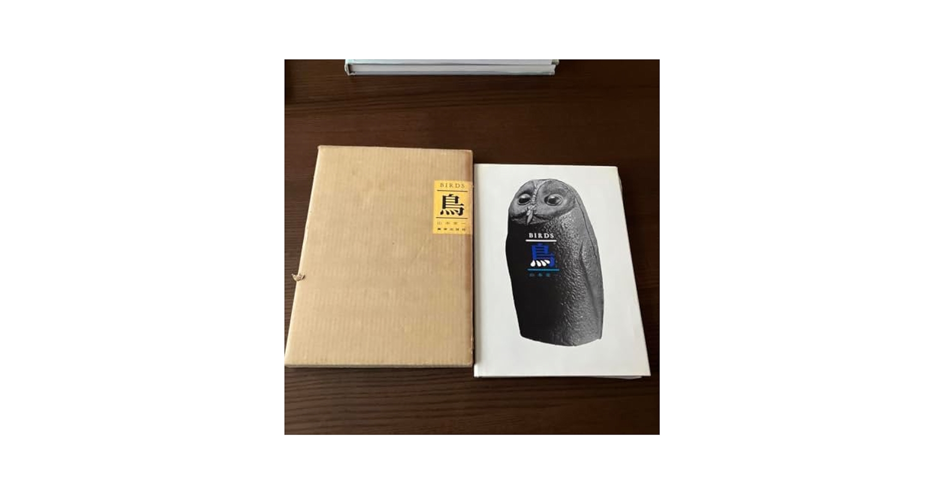 BIRDS 鳥　山本常一　作品集 鳥 Birds | 山本常一 | nostos books ノストスブックス