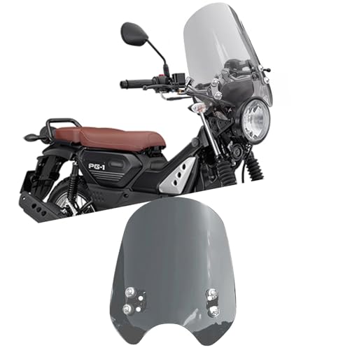 KAGEFUNE For PG-1 PG1 PG 1 PG ONE 2025p oCNANZT[ EChV[htFAOAtgEChftN^[AoCNpEChV[hveN^[ PG-1 2024-2025 oCNANZT[ (X[