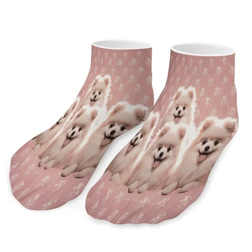 FZQVSWTX Knöchelsocken für Herren und Damen, bunt, niedrig geschnitten, Zwergspitz, Welpen, bedruckt für alle Jahreszeiten, Zwergspitz-Welpen, Größe 32–40, Zwergspitzwelpen, 32-40