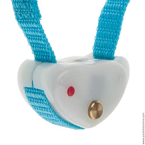 Détail et dimensions du collier NUM'AXES CANICALM