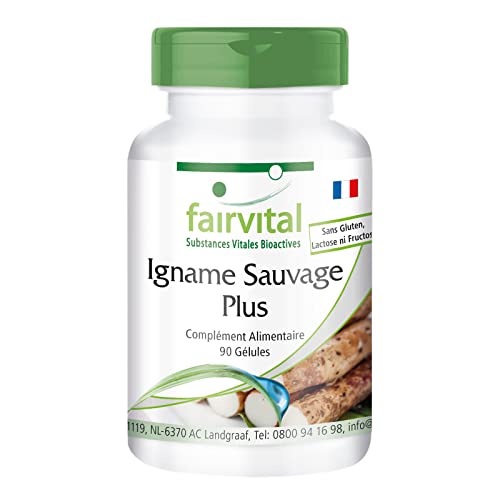 Fairvital Ignames Sauvages 90 Capsules