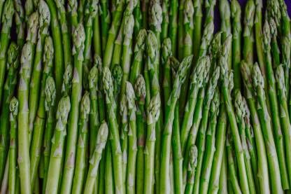 Green World ASPARAGUS IMPORTED UC SEEDS FOR KITCHEN GARDENING (20 seeds) (B09KH1WBH9) Amazon Price History, Amazon Price Tracker
