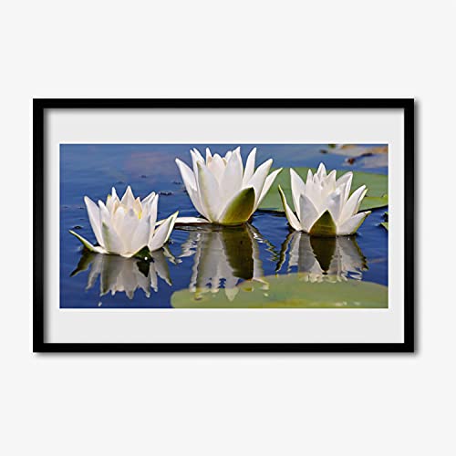 Affiche encadrée de fleurs salon chambre cadre en mdf image photo décoration murale 60x40 cm