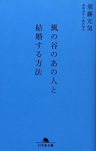 風の谷のあの人と結婚する方法 (幻冬舎文庫)