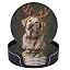 Yellow Labrador Retriever With Antlers