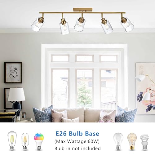 MELUCEE 5-Light Track Lighting Kit Brass Semi Flush Mount Ceiling Light Fixture with 5 Rotatable Light Heads, Modern Accent Lighting for Foyer Art Wall Kitchen, Clear Glass Shade