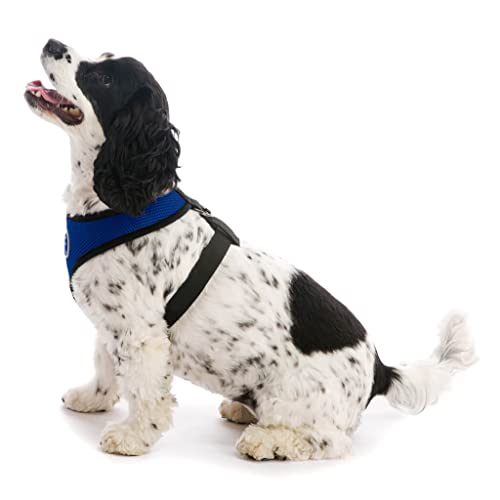 Gooby Soft Mesh Dog Harness - Blue, Small - All Weather Mesh Head-In Small Dog Harness With D Ring Leash - Perfect On The Go Breathable Dog Harness For Medium Dogs No Pull And Small Dogs #TOP4