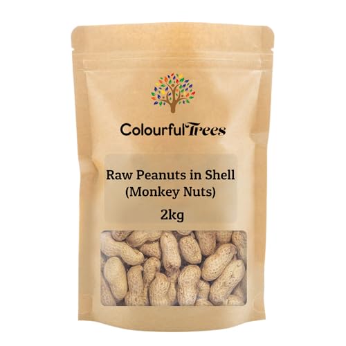 Raw Peanuts in Shell (Monkey Nuts) 2kg by Colourful Trees