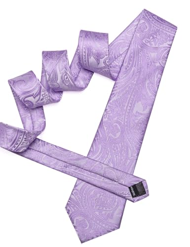 Image of Barry.Wang Paisley Tie for Men Silk Woven Necktie and Tie Clip Set Wedding Party Business Formal