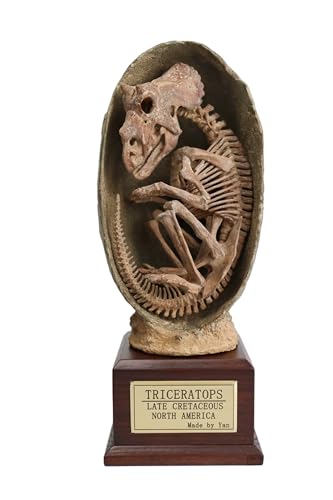 BACALYSO | 菊石 1/1 サイズ トリケラトプス 卵 骨格 化石 25cm級 草食 恐竜 リアル フィギュア 白亜紀 樹脂 プラモデル おもちゃ 模型 完成品 工芸品 塗装済みのサムネイル