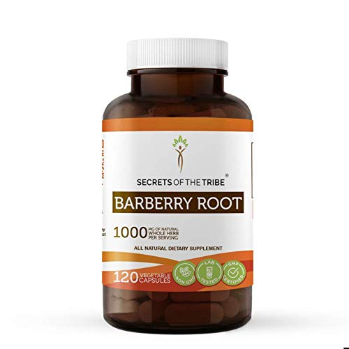 Barberry Root 120 Capsules, 1000 mg, Made with Organic Barberry Root (Berberis Vulgaris) Dried Root Bark (120 Capsules)