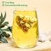 Plant Gift Oil Cut Big Belly Tea Bag 8 Imagen de Plant Gift Oil Cut Big Belly Tea Bag 8