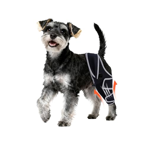 Yinchogee Dog Knee Brace for Torn ACL