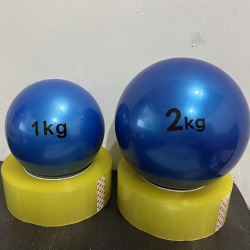 Vilom 砲丸投げ 練習用 ソリッドサンドボール