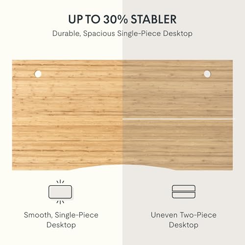 Image of FLEXISPOT EN2 55 inchx28 inch Bamboo Electric Standing Desk with Power Strip Bundle