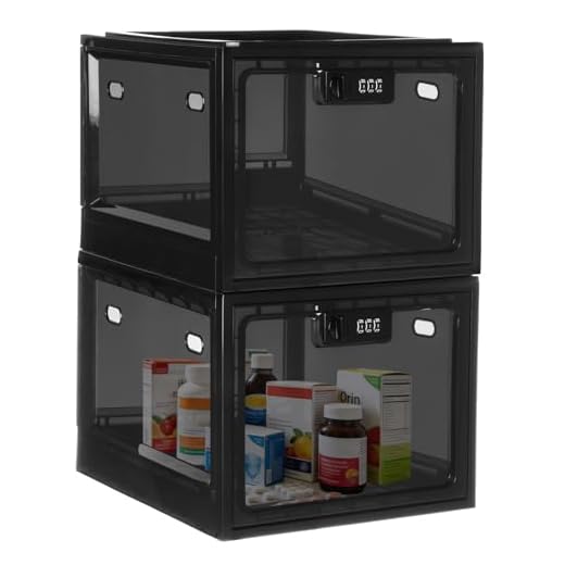 Lockable 2 Pack Storage Boxes