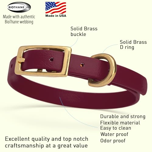 Image of Viper Biothane Heavy Duty Waterproof Dog Collar Strong Coated Nylon Webbing w /Solid Brass Hardware Odor-Proof Easy to Clean High Performance Fits Small Medium or Large Dogs, Merlot Burgundy