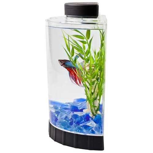 Tetra LED Half Moon Aquarium Kit, 1.1 Gallons, Small, Clear Plastic Fish Tank With Curved Front, Easy Feeding And Movable, Energy-Efficient LEDs Ideal For Bettas Great As Desk Aquarium - Image 5