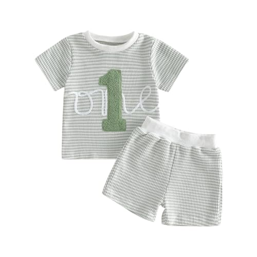 POZMTIORE Baby Boy First Birthday Outfit One Embroidery Waffle Tops Short Sets 1st Birthday Outfit Summer Clothes 6 12 18 M (Green 12-18 Months)