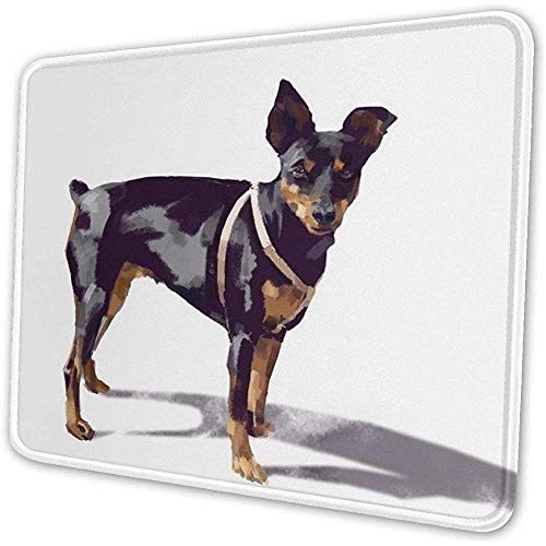 Preisvergleich Produktbild 0