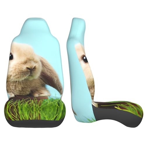 Housses de siège avant imprimé lapin EdWal pose facile pour voiture - 3