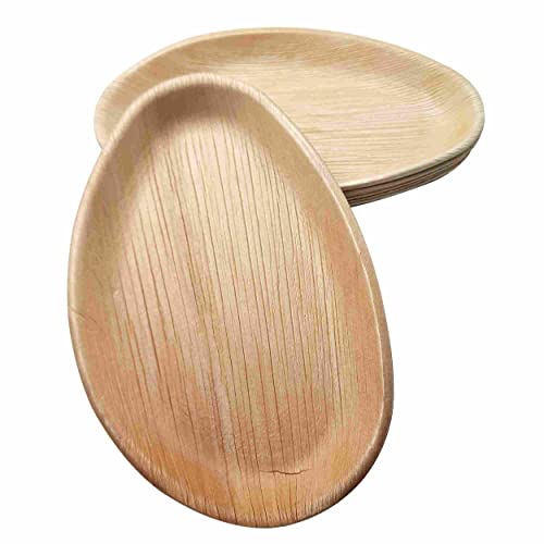 Dtocs Palm Leaf Plates Pack 50, 10X6 Inch Oval | Eco-Friendly, Compostable, Natural, Organic Disposable Party Plates For Wedding, Camping, Birthday Dinner | Better Than Bamboo, Paper Plates #TOP2