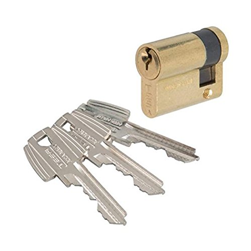 Tesa Assa Abloy, 50303010L, Cilindro Estándar, TE5, Leva Larga, Llave - Llave, Latonado, 30 x 10 mm
