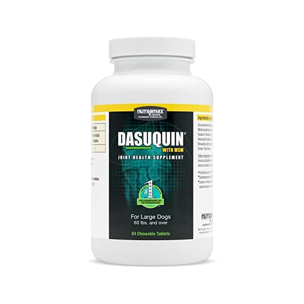 Nutramax Dasuquin with MSM Joint Health Supplement for Large Dogs – with Glucosamine, MSM, Chondroitin, ASU, Boswellia Serrata Extract, and Green Tea Extract, 84 Chewable Tablets Nutramax Dasuquin with MSM Joint Health Supplement for Large Dogs – with Glucosamine, MSM, Chondroitin, ASU, Boswellia Serrata Extract, and Green Tea Extract, 84 Chewable Tablets