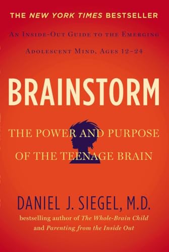 Brainstorm view 2