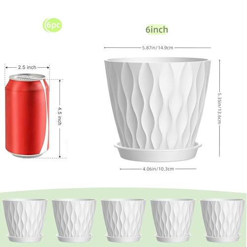 Macetas para suculentas y hierbas aromáticas en ventanas de cocina juego de 6 piezas 3