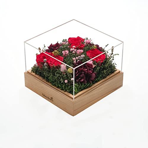 Adora Rose Flora Decor Box [Large] Handmade Acrylic Box|Preserved Real Roses That Last For Years| Gift For Her, Valentine's Day, Mother's Day, Anniversary| Flowers For Delivery Prime #TOP10