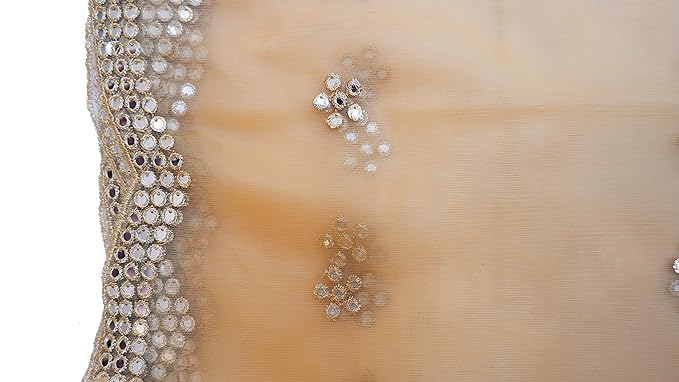 2.25Meter Net Fabric Embroidered Stylish Curve Plastic Mirror Work Embellished Indian Dupatta Chunni For Women Girls3