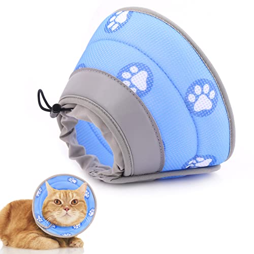 Find The Best Soft Collar For Cats Reviews & Comparison Katynel