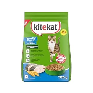 Kitekat Kitten (2-12 Months) Dry Cat Food, Ocean Fish Flavour, 370g | Complete and Balanced Nutrition