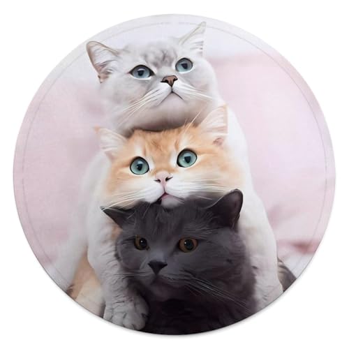 Couverture chat flanelle ronde, plaid canapé pliable multifonction