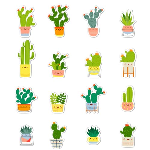 VOSAREA T{e}OlbgXebJ[16Zbg ①ɗp}Olbg \tΉ ƒpzCg{[hpCXebJ[