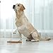 Relaxdays Intelligenzspielzeug für Hunde, Leckerli verstecken, interaktives Hundespielzeug Intelligenz, MDF, natur/blau, 1 Stück